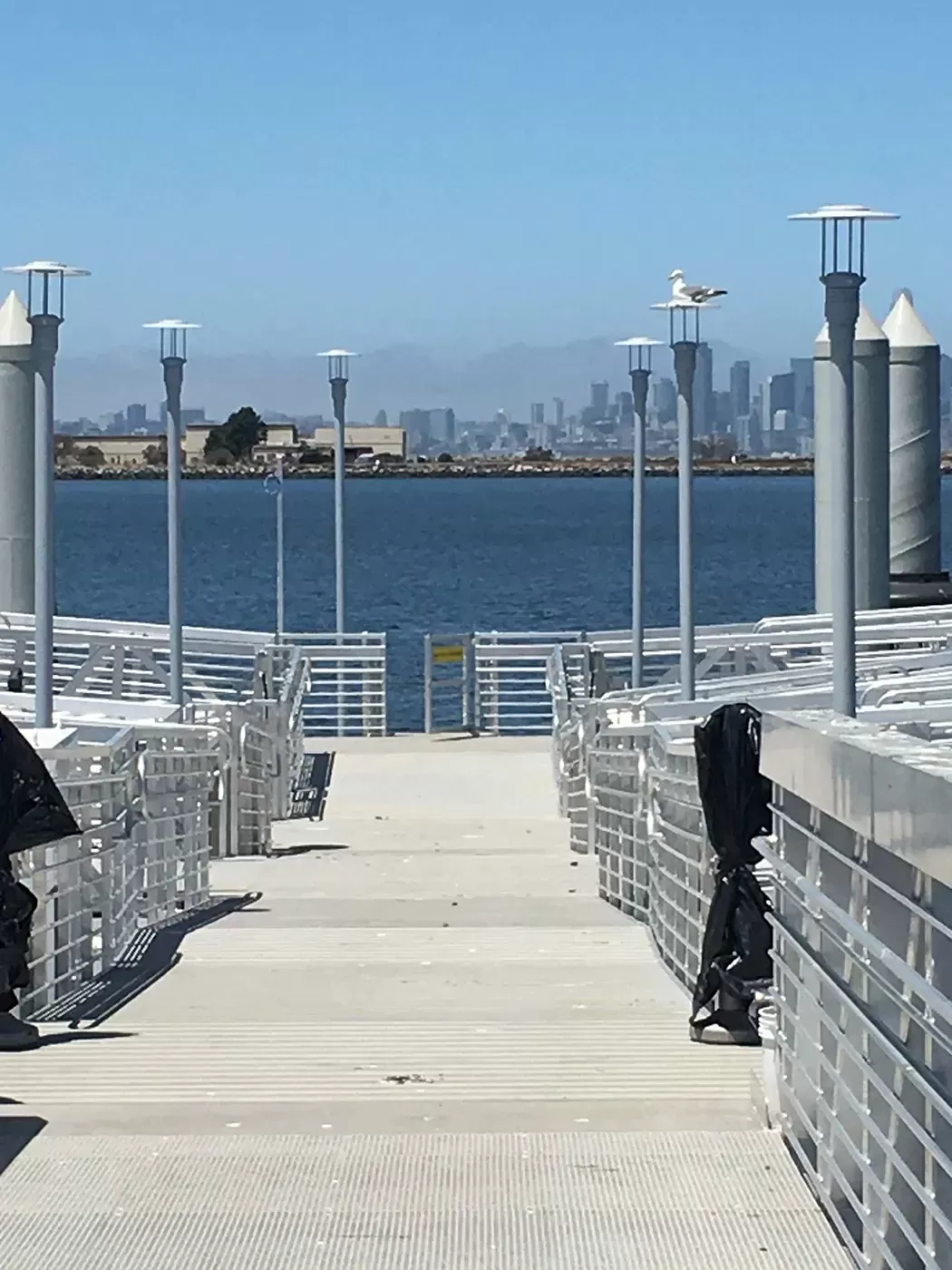 Seaplane Lagoon in daylight