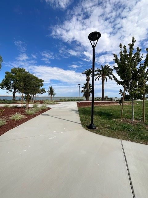 trees and sky picture